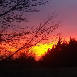 Meet your Posher, Tricia